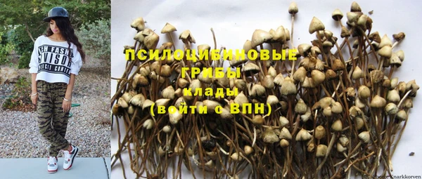 тгк Волосово