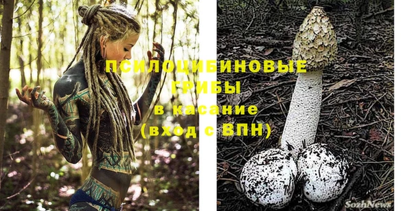 прущие крисы Володарск