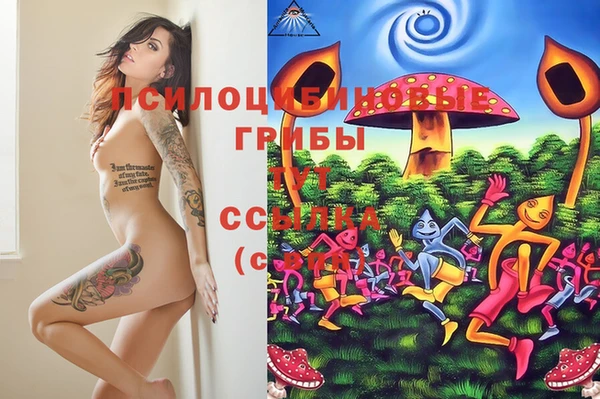 тгк Волосово
