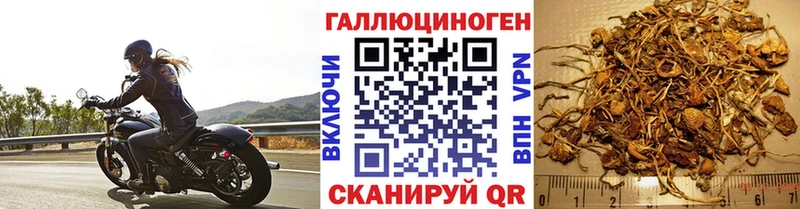 Галлюциногенные грибы ЛСД  Купить  Воркута 